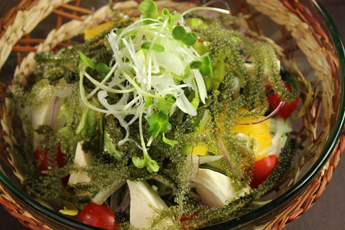 海ぶどうと島豆腐の和風サラダ